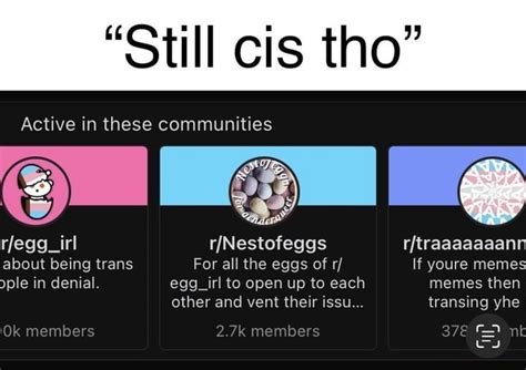 egg_irl|egg irl memes.